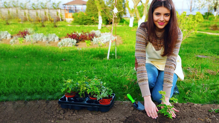 Foto zdroj internet Jaro je tady! Nastal čas připravit zahradu na novou sezónu
