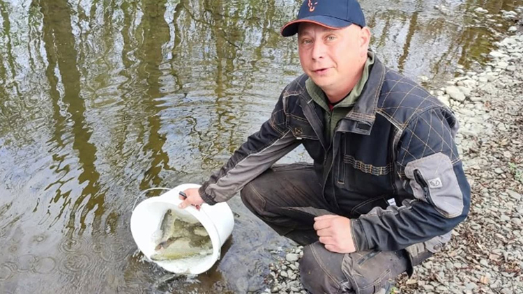 Rybáři se věnují pstruhům