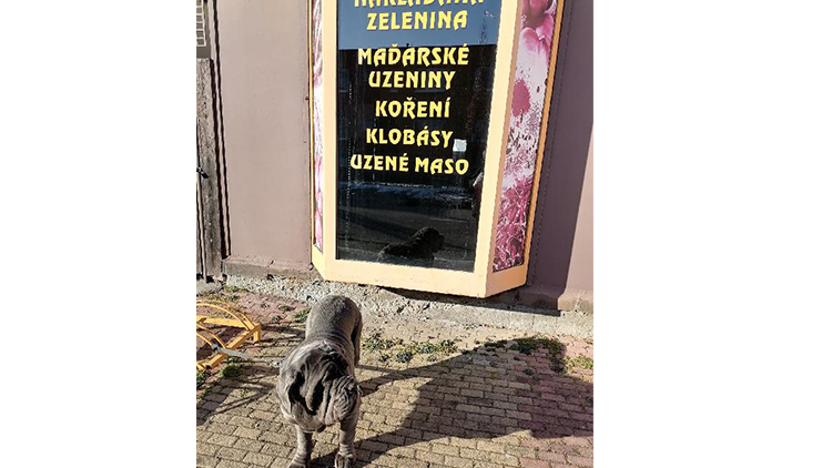 Lahůdky střežil impozantní hlídač