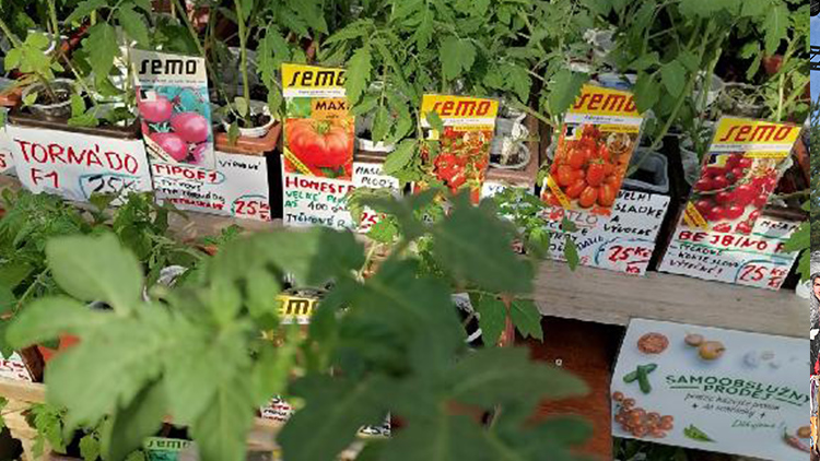 Samoobslužný prodej sází na lidskou slušnost