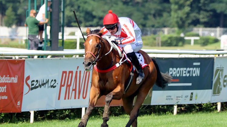 Ilustrační foto: Dostihový spolek Pardubice Popelkova Ztracenka skončila v kvalifikaci na Velkou druhá