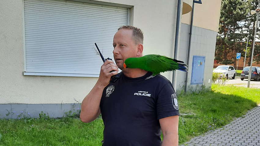 Papoušek na rameni!