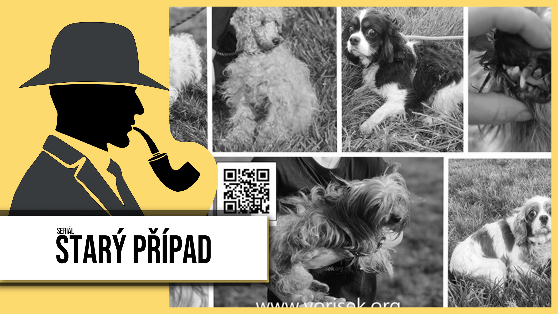 Starý případ 25: Voříšku se podařilo udat všech  29 týraných pejsků z obří množírny