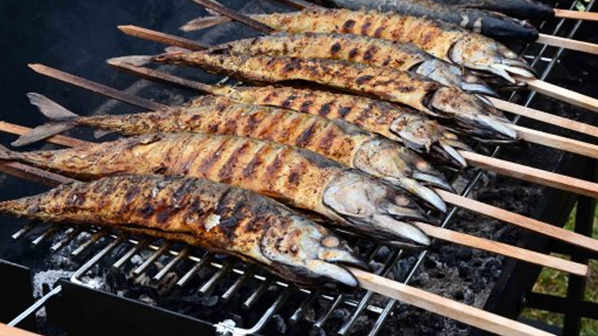 Po makrelách se zaprášilo