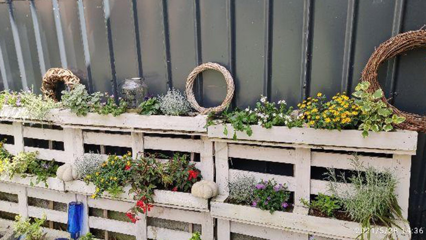 Osázené palety jsou unikátní variabilitou