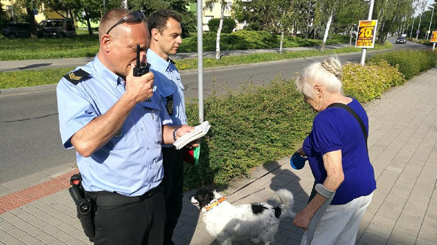 Strážníci městské policie zpřísňují kontroly. Do ulic jen se psem na vodítku!