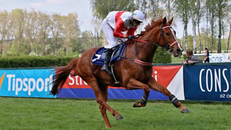 Angkor Wat ohromil v Pardubicích
