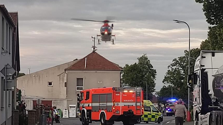 Umí sednout na pětníku!