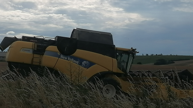 Foto: Kristýna Bohatová Kombajny v obilí,  blíží se podzim!