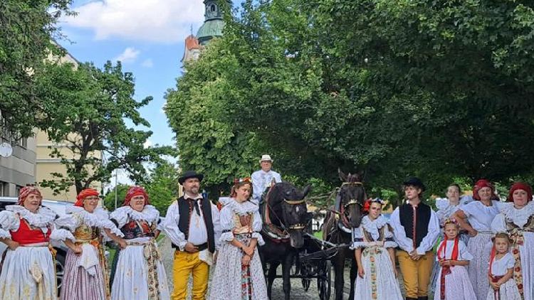 Foto: Katka Snídalová Němčické hody obohatil Pantlék