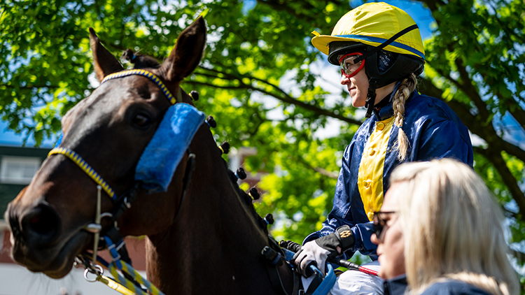 Foto: Petr Šedivý Do třetí kvalifikace na Velkou míří další kůň ze Srdéčka