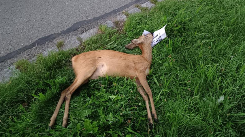 Strážníci asistovali hasičům