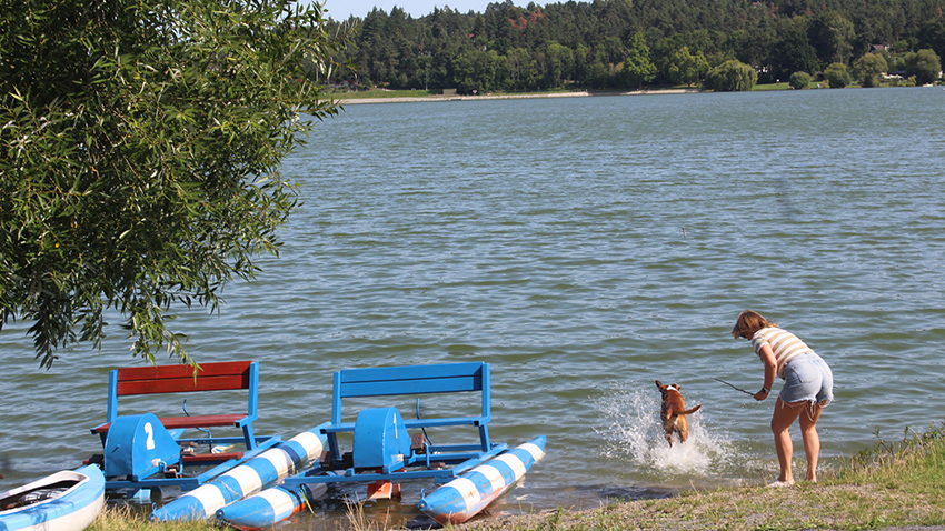 V přehradě opět platí zákaz koupání