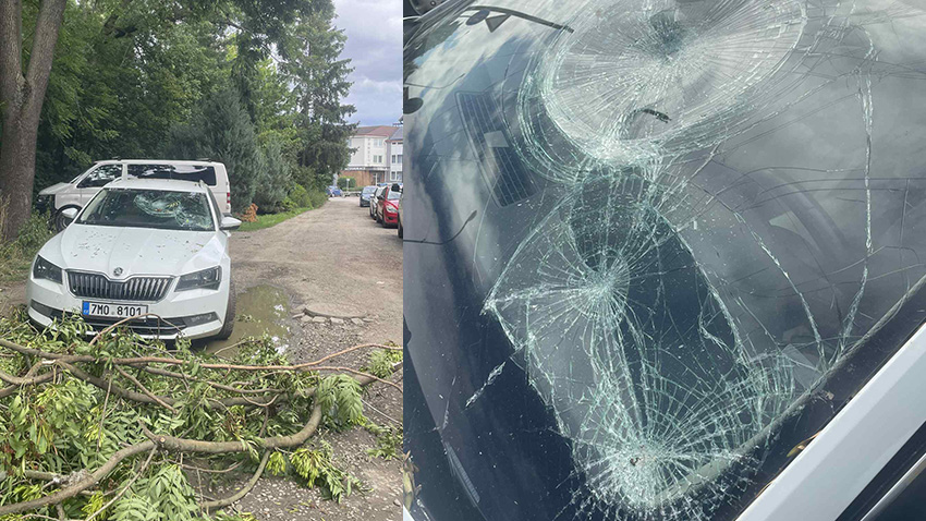 AKTUALIZOVÁNO: Auto mu zdemolovala spadlá větev. Dočká se odškodnění?