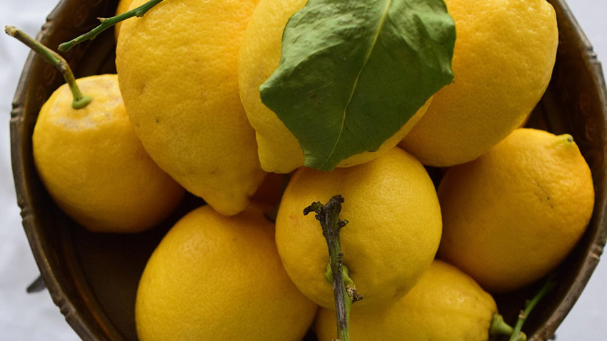 Praní na 40 stupňů C ničí textil a žere elektřinu