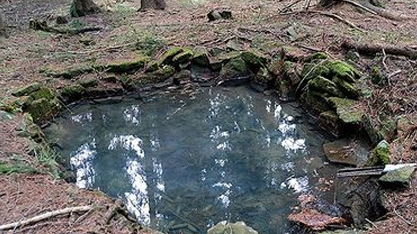 Spolek přátel pomáhá