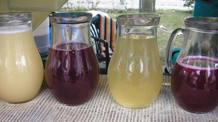 Foto: pixabay.com Sezona burčáku začíná