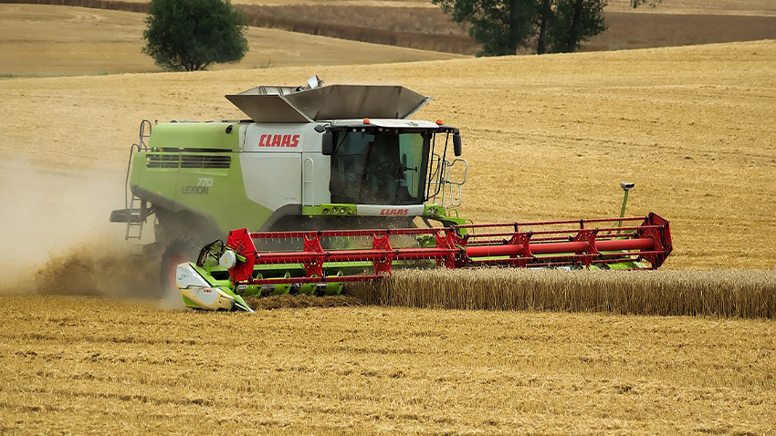 Foto: Kristýna Bohatová Letošní žně: tisíce tun navíc!