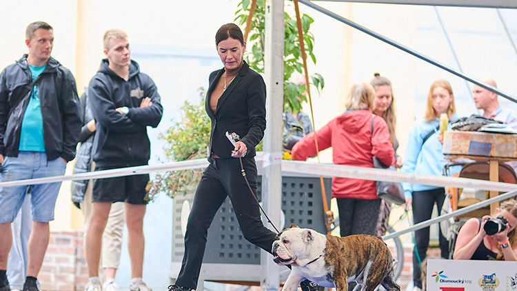 Výstava Floracanis přilákala na tři tisíce psů