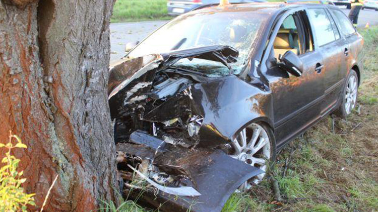 Foto: Policie ČR Nezvládl Octavii a skončil ve stromě