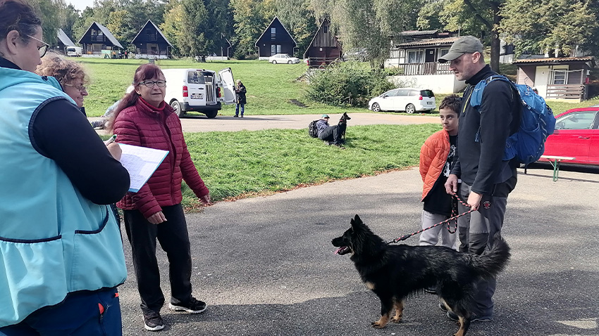 Všestranný pes vhodný k ochraně objektu, ale i agility, canicrossu nebo dogdancingu.  Foto: Kristýna Bohatová Chodští obránci hranic ve Žraloku