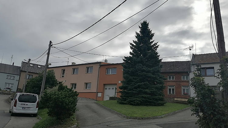 Foto: Kristýna Bohatová TO JE ON!  Vánoční krasavec přijede  ze Seloutek. UŽ POTŘETÍ!