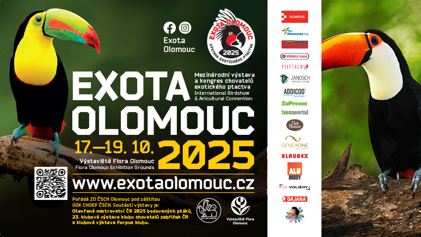 Exota Olomouc 2025 zve do světa exotického ptactva