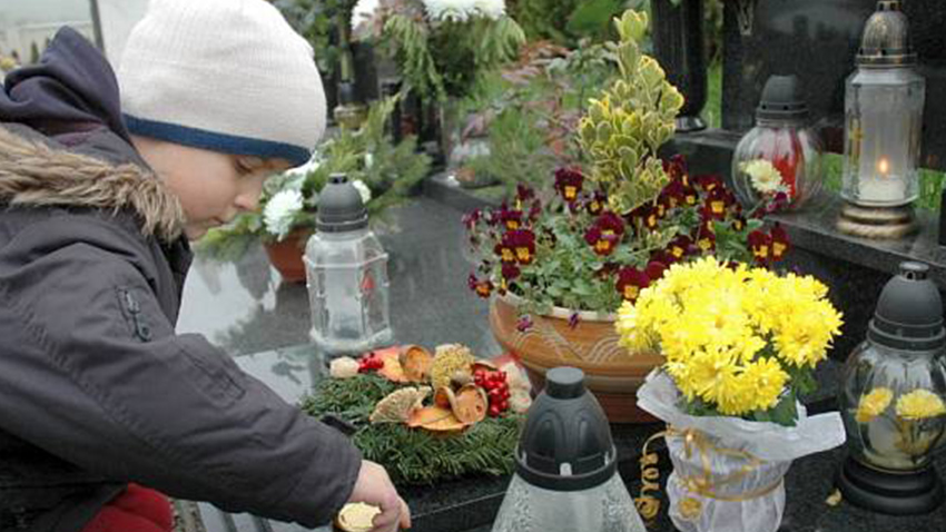 Ilustrační foto: internet Které květiny jsou na hroby nejvhodnější?