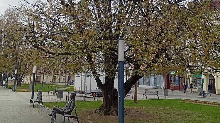 Habry na prostějovském náměstí  TO MAJÍ SPOČÍTÁNO!