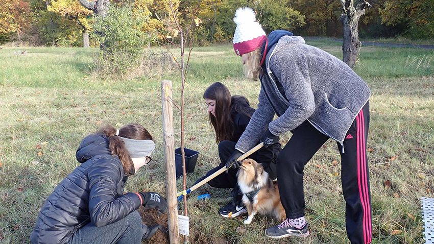 Dobrovolníci s Irisem sázeli na Kosíři