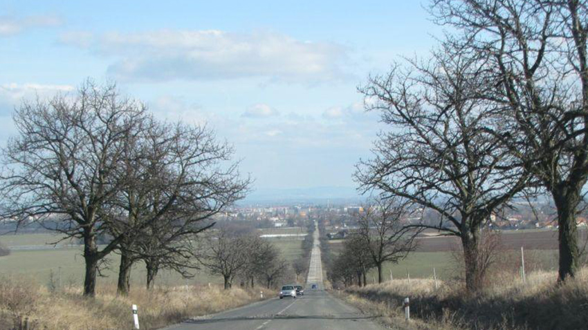 Třešně v Ohrozimské definitivně padly