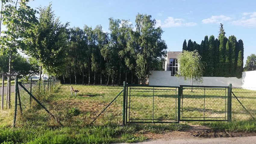 Psí loučku nahradí