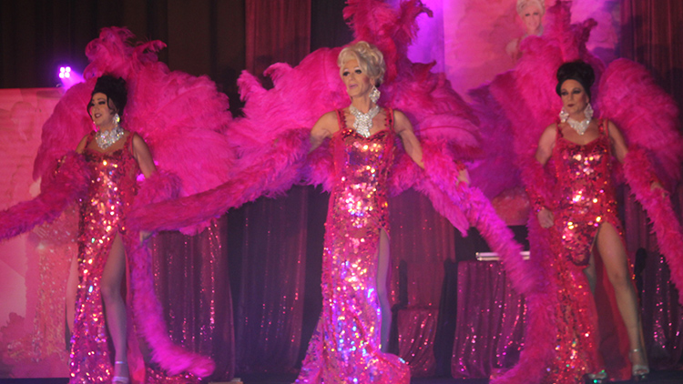 Divoké kočky uhranuly „půlku“ Určic