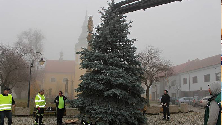 První vánoční strom už stojí