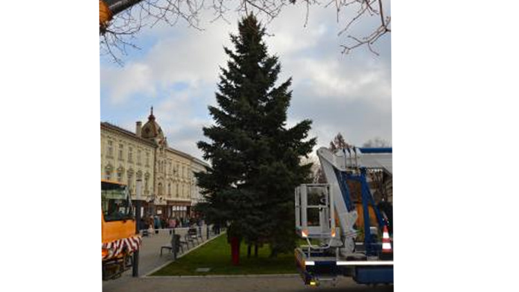 Vánoční strom pro Prostějov dorazil na náměstí, o jeho jménu rozhodnou občané