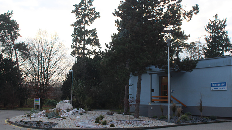 Kácení v parku v Lidické vyvolalo smršť emocí