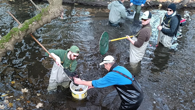 Hloučela je plná ryb i raků!