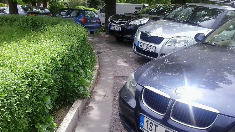 Keře brání parkování 