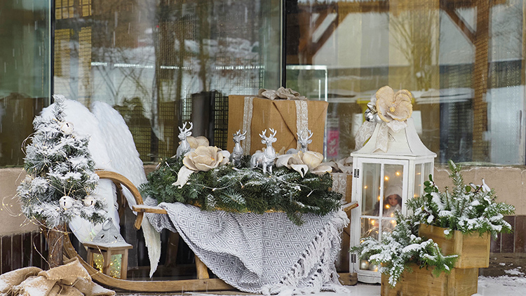 Do Zoo Olomouc můžete i o svátcích