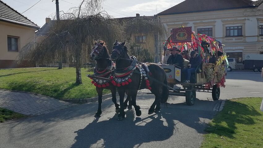 Klasáci se na mrskut opět vydali na voze