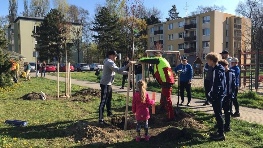 Lidé sázeli stromky na sídlišti E. Beneše 