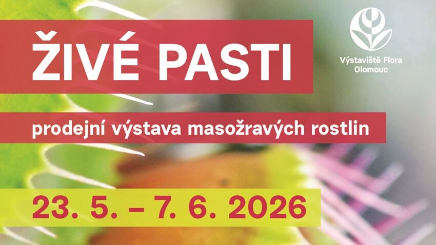 Masožravé rostliny zblízka – výstava představí exotické rarity i fotografie z Kambodže