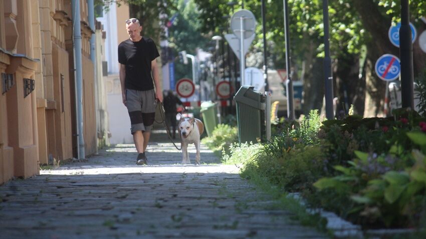 Výměnu dlažby v Rejskově ulici ostře kritizují památkáři i architekt