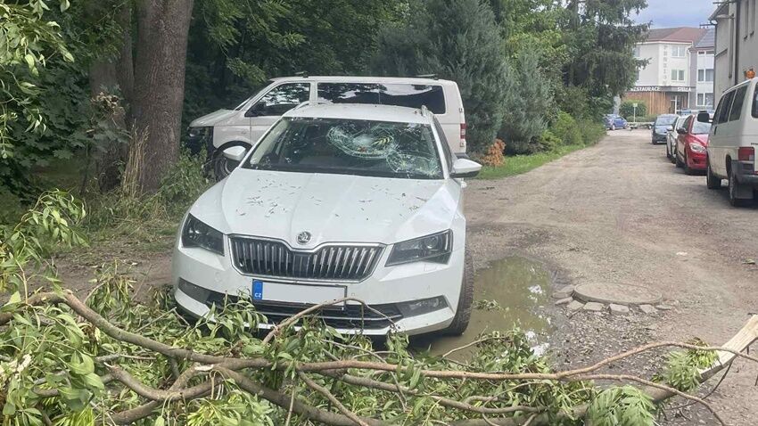Auto mu zdemolovala spadlá větev, peněz se nedočkal