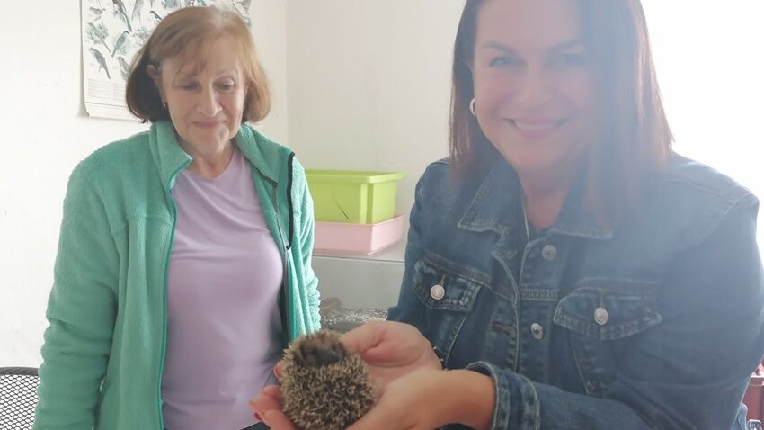 Zraněná a handicapovaná zvířata podporuje město již řadu let