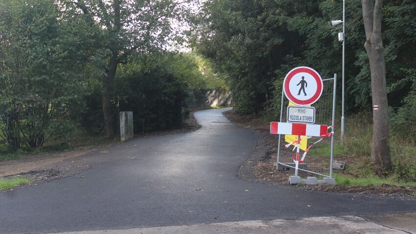 Od radnice ke Žraloku na bruslích?