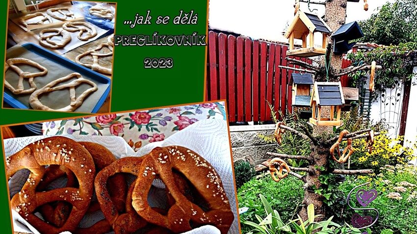 V Kostelci na Hané vyrostl čarovný Preclíkovník