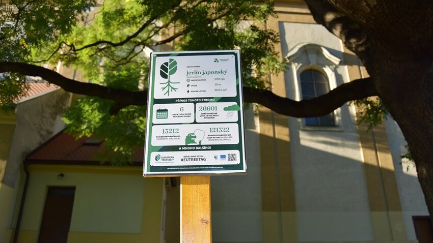 Prostějov se zapojil do kampaně Tree Tag 2026