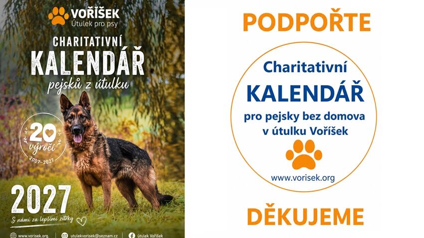 Voříšek chystá charitativní kalendář.