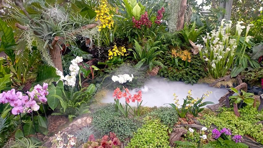 Výstava Klenoty pralesa láká na orchideje a tropické rostliny z celého světa